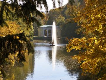 Davis in Solidarity with Ukraine