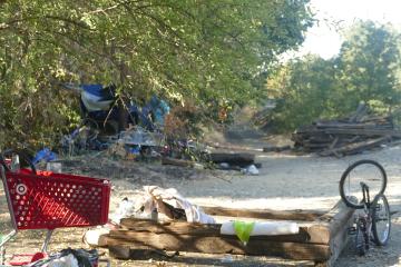 Davis homeless population grows exponentially
