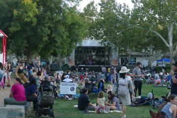 Thursdays in the Davisphere